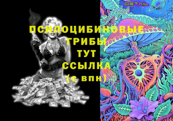 PSILOCYBIN Богородск